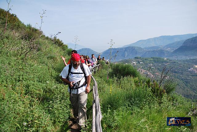 in fila lungo la staccionata.JPG